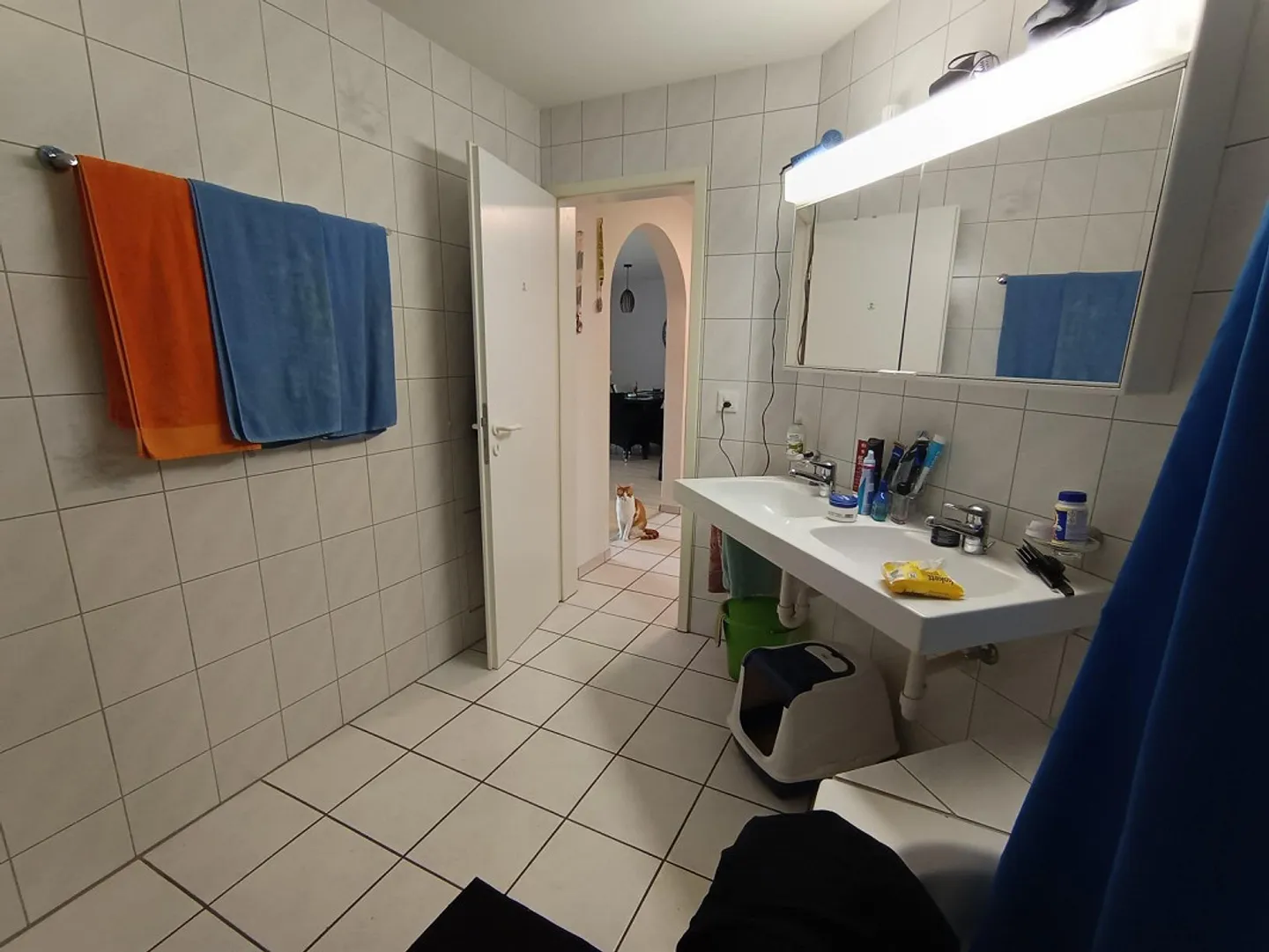 Bellissimo, luminoso appartamento loft di 3,5 stanze con giardino e garage sotterraneo - Foto 9 di 19