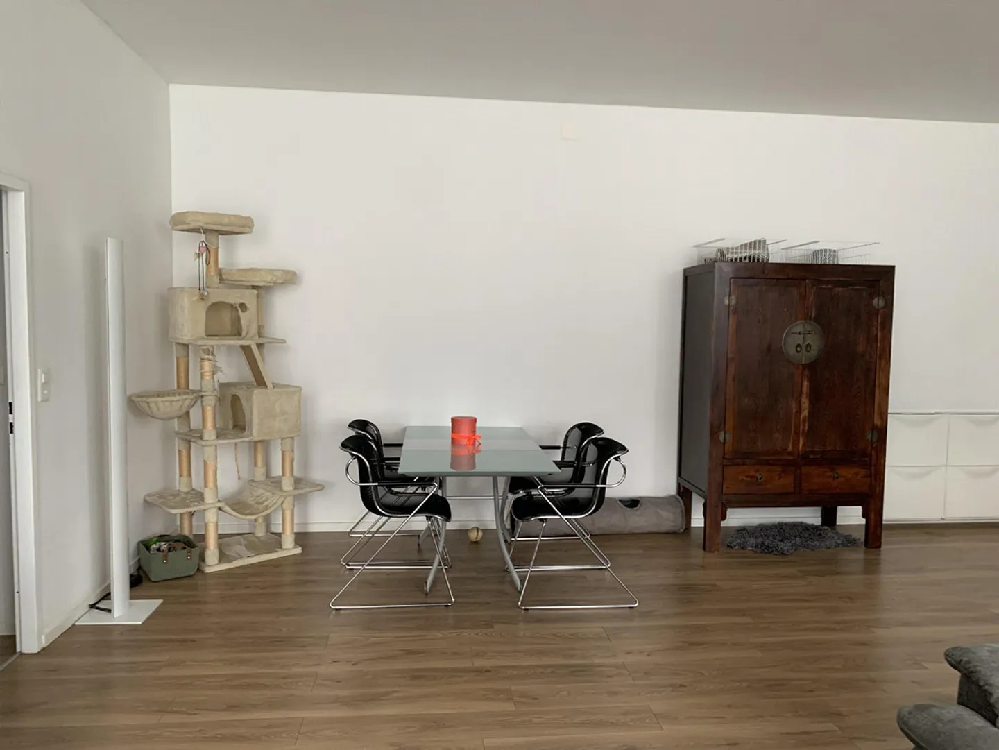 Apartment in Industrial Style Seeks New Tenant - Photo 7 of 10