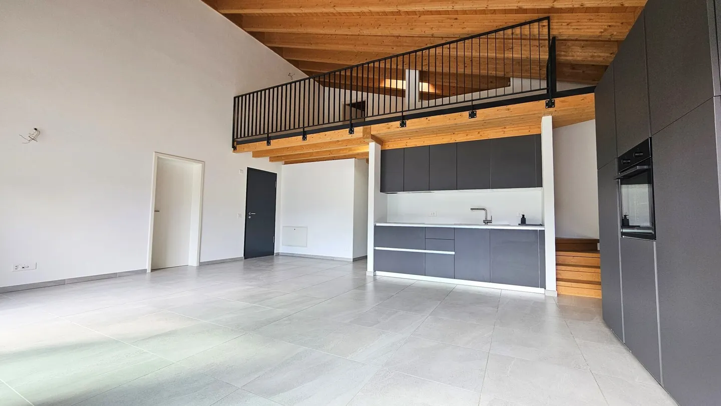 AMPIO APPARTAMENTO 4.5 LOCALI - Foto 2 di 15
