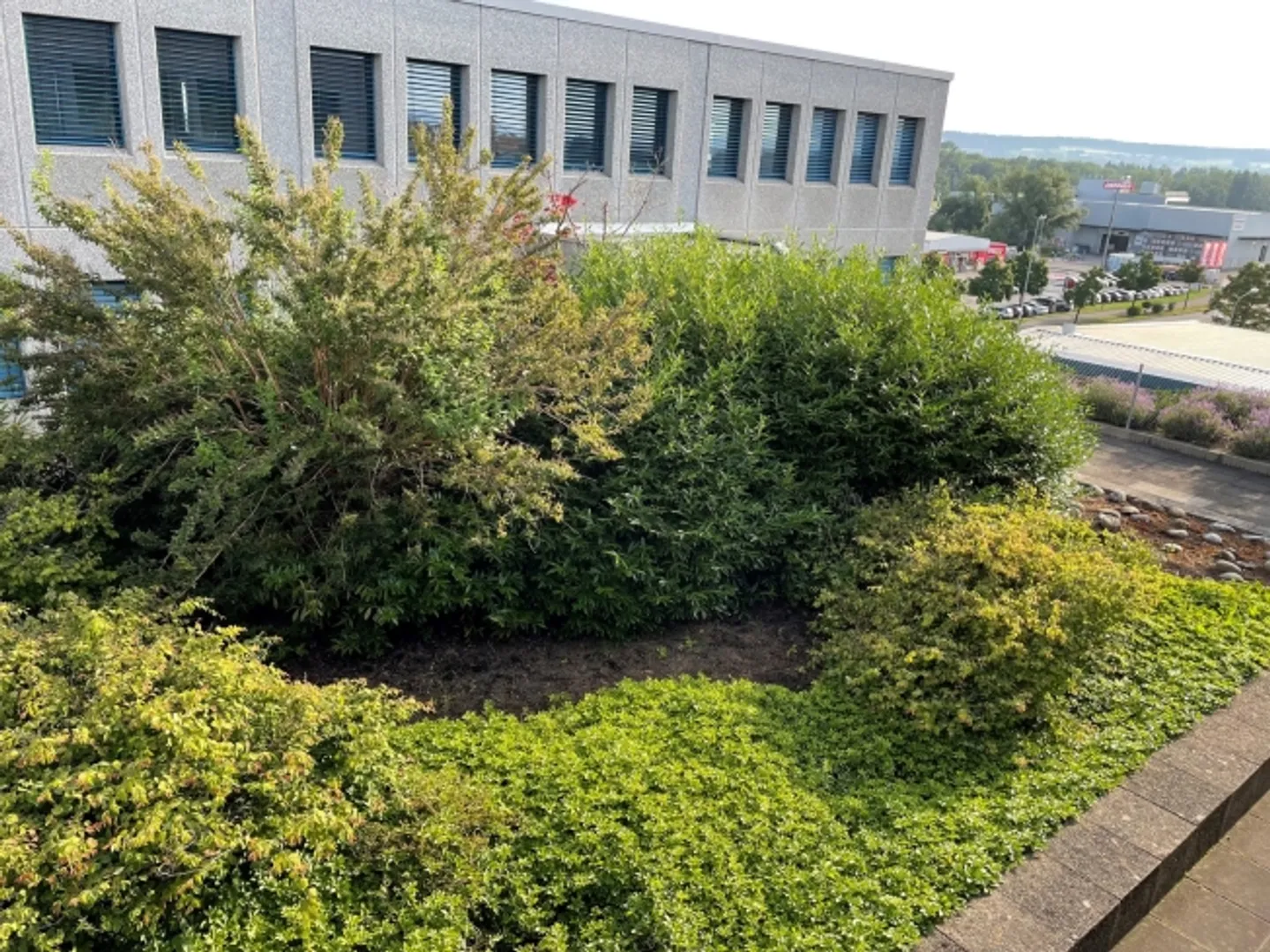 Spazio ufficio in affitto - Foto 4 di 6