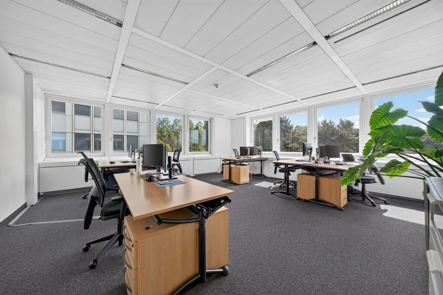 Büro - Foto 5 von 9