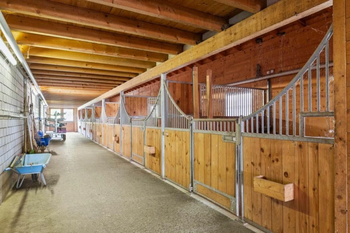 Einzigartige Reitsportimmobilie und Seminare mit Pferden - Foto 2 di 18