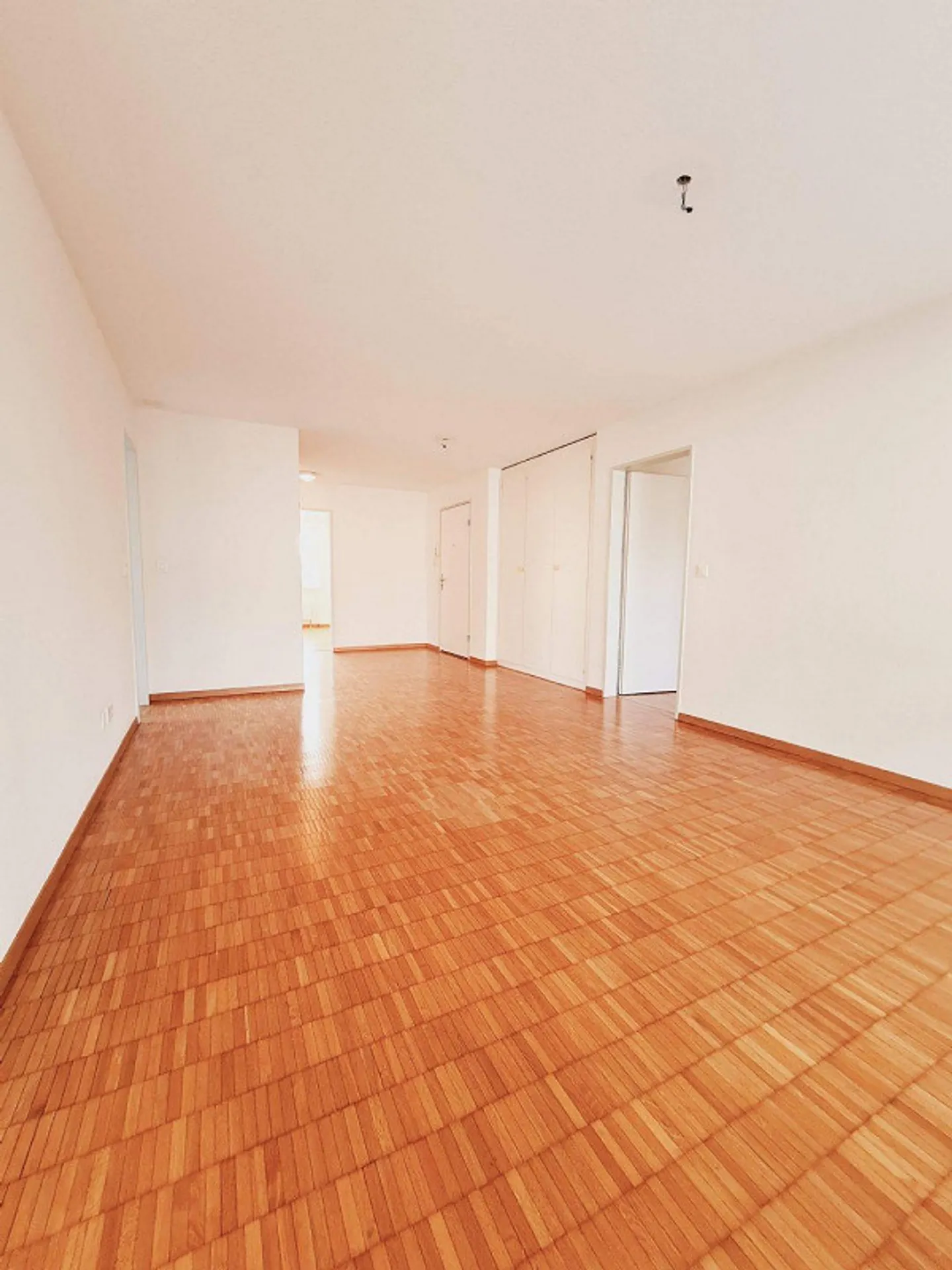 Vivere in un ambiente molto bello e soleggiato - Foto 4 di 8