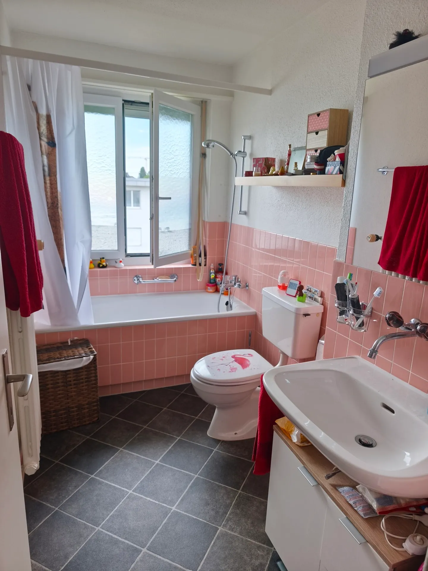2 ROOM APARTMENT IN JONA (SG), FURNISHED, TEMPORARY - Photo 5 of 6