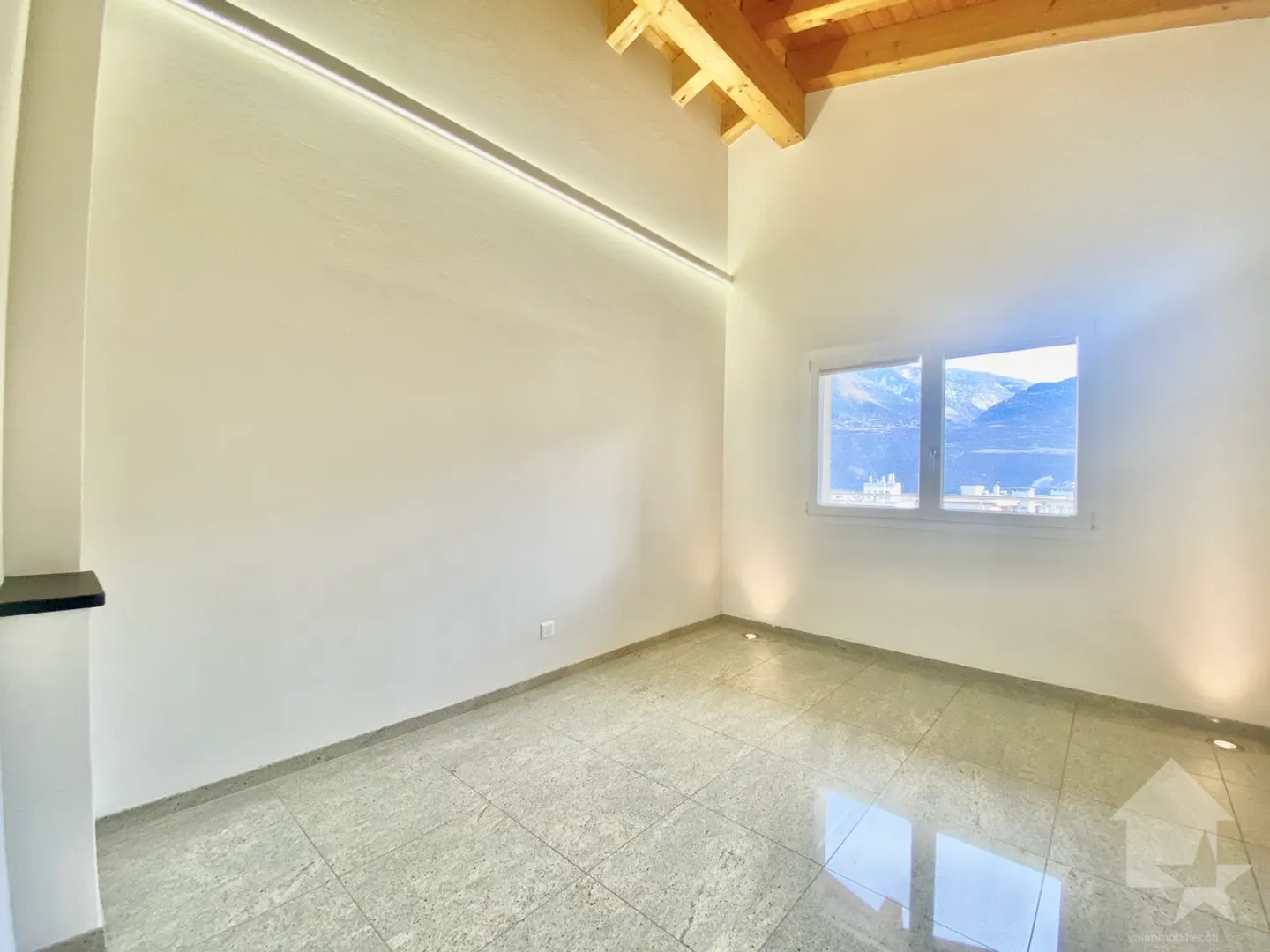 Magnificent penthouse apartment near the center, garage, park and view! - Photo 11 of 19