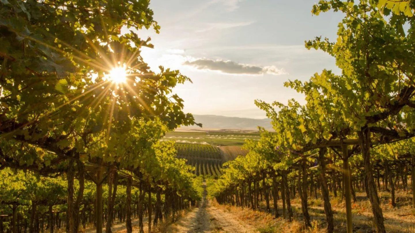 Rivendita di bevande e vini di successo con attività di eventi - Foto 7 di 8