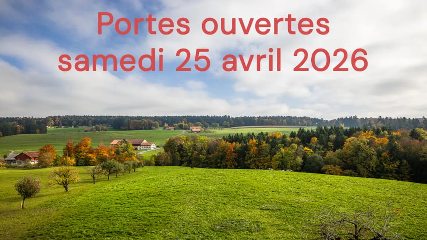 Neue 3-Zimmer-Wohnung im 2. Stock: letzte - Foto 1 von 9