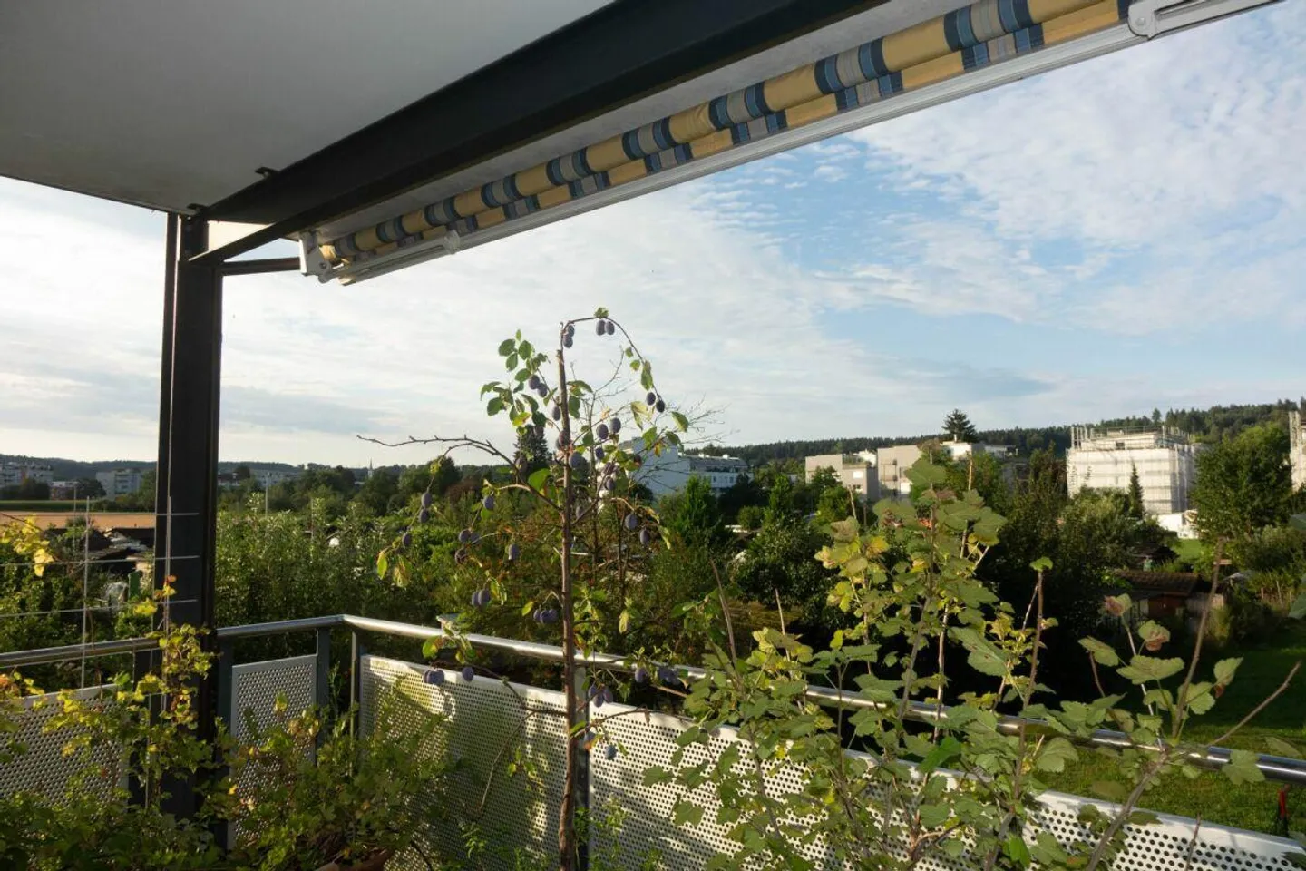 Appartamento luminoso con vista sul verde - Foto 1 di 8