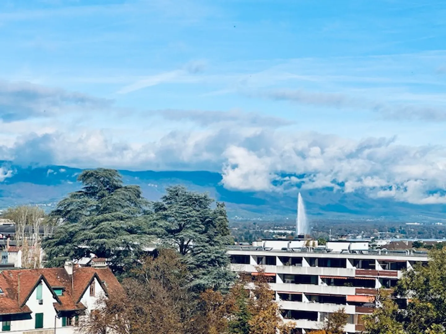 6,5-Zimmer-Wohnung - Foto 1 von 3