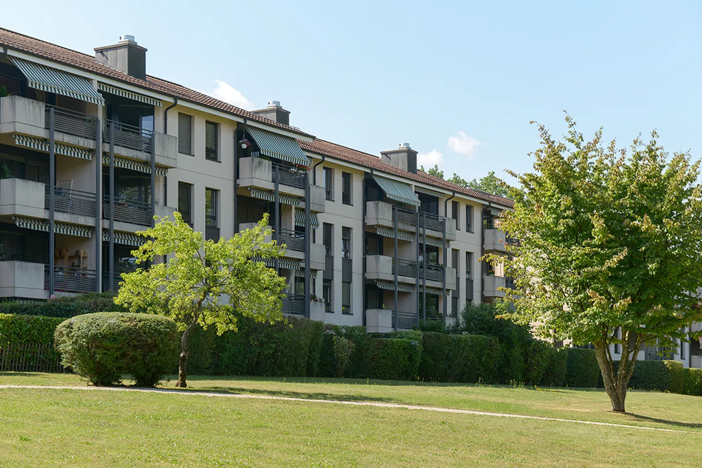 Underground place 1 room - Photo 2 of 5