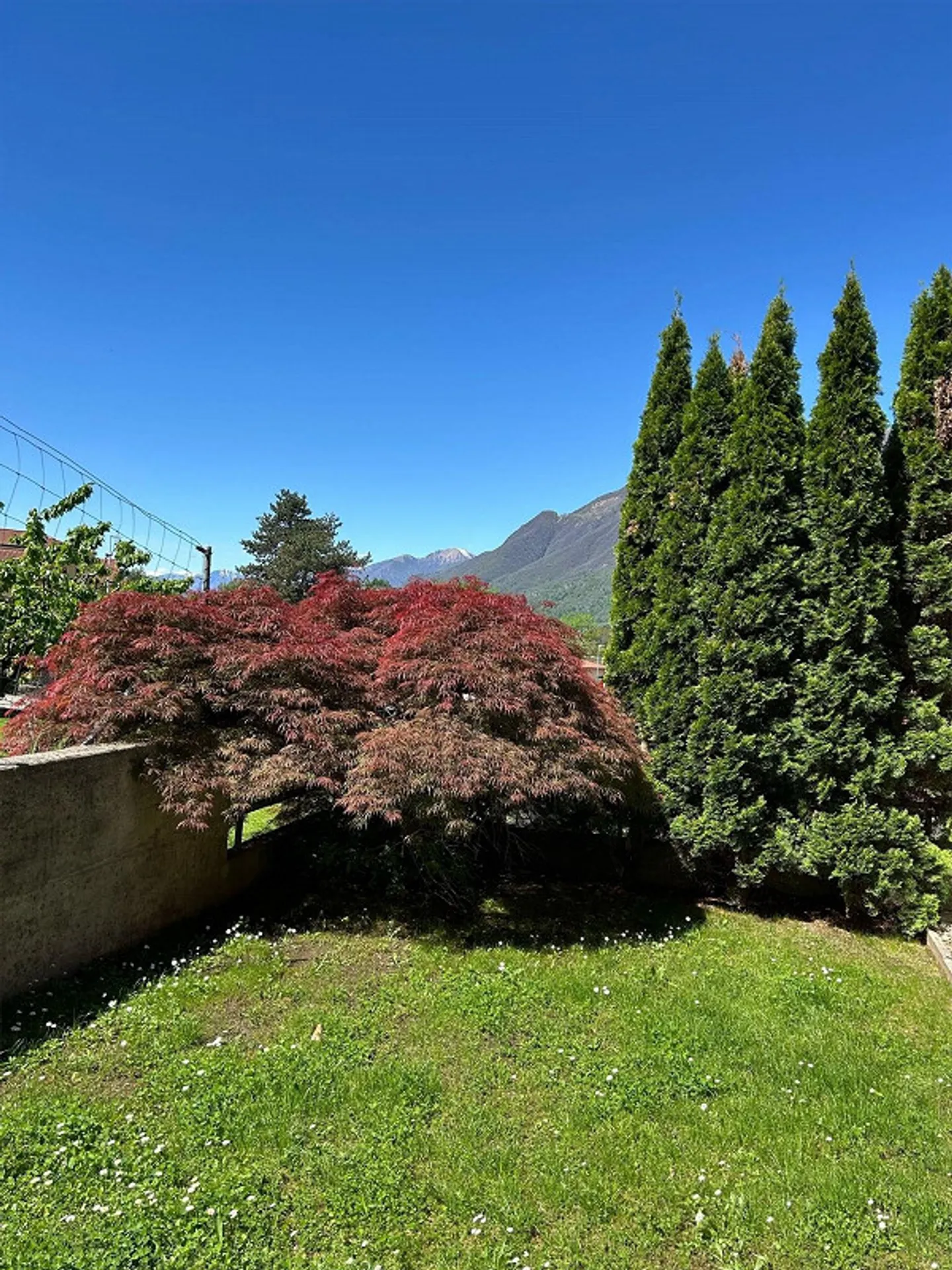 Bella casa in zona residenziale - Foto 2 di 20