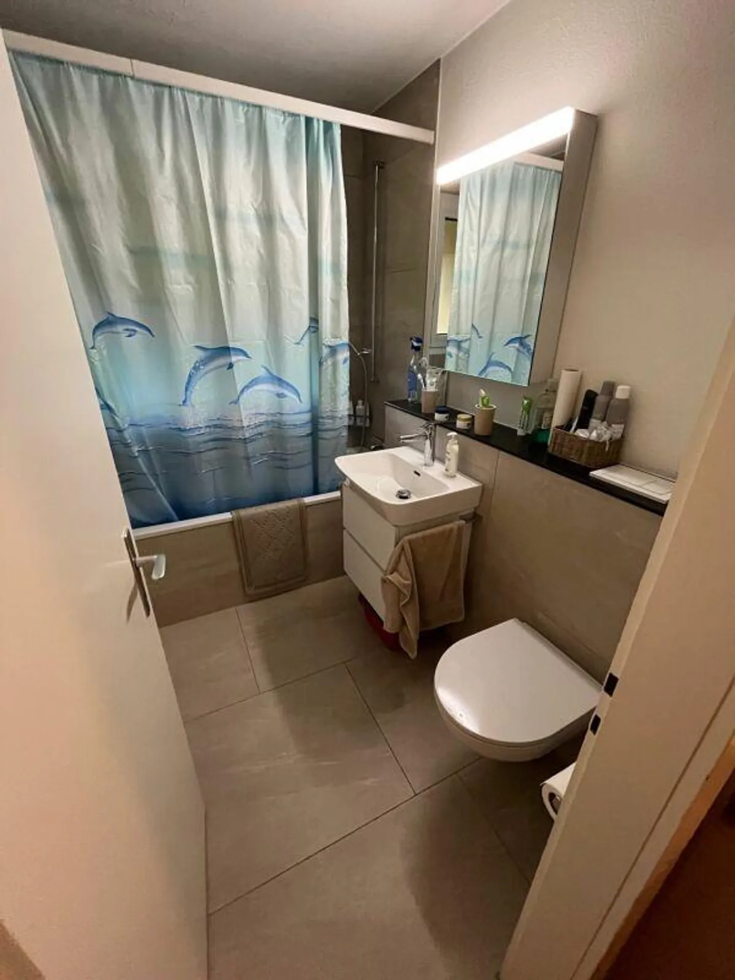 Appartamento TEMPORANEO di 3 locali a Meggen (fino al 30.06.2027) - Foto 4 di 8