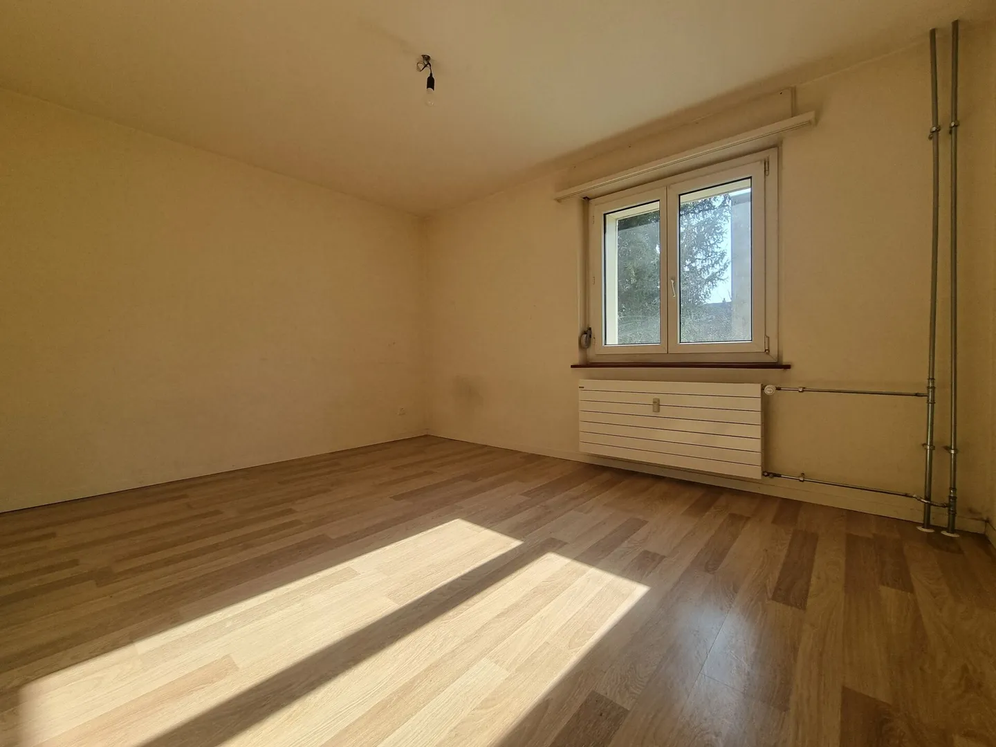 Charmante Wohnung im Zentrum Biel - Foto 3 von 8