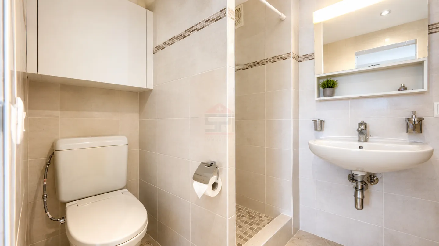 Charmante Dachwohnung in Genf - Foto 5 von 6