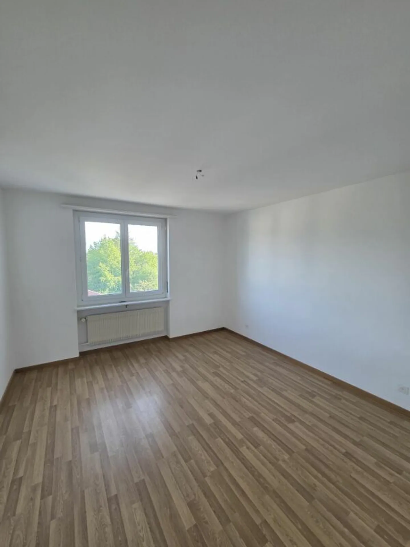 appartamento di 3,5 locali recentemente ristrutturato - Foto 11 di 15
