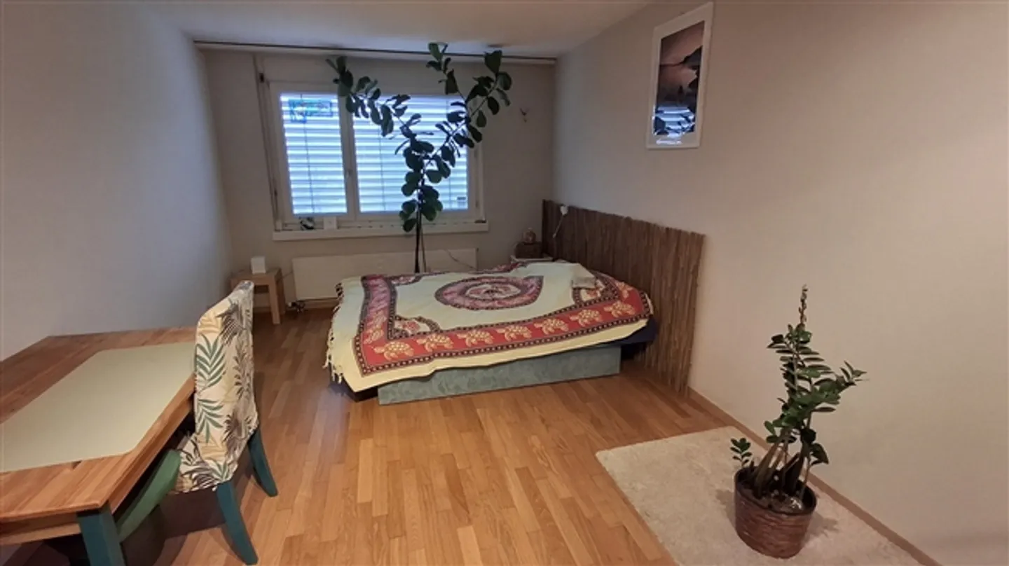 Appartamento 2 locali a Lucerna, arredato - Foto 5 di 7