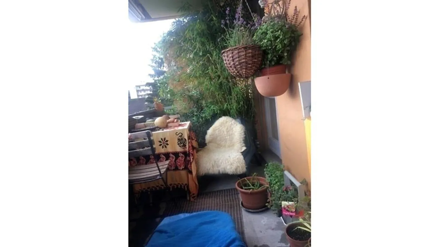 APPARTAMENTO 2½ STANZE A ZURIGO - DISTRETTO 3, ARREDATO, TEMPORANEO - Foto 8 di 10