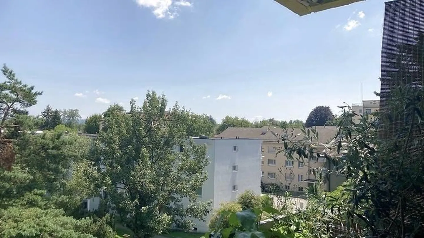 APPARTAMENTO 2½ STANZE A ZURIGO - DISTRETTO 3, ARREDATO, TEMPORANEO - Foto 10 di 10