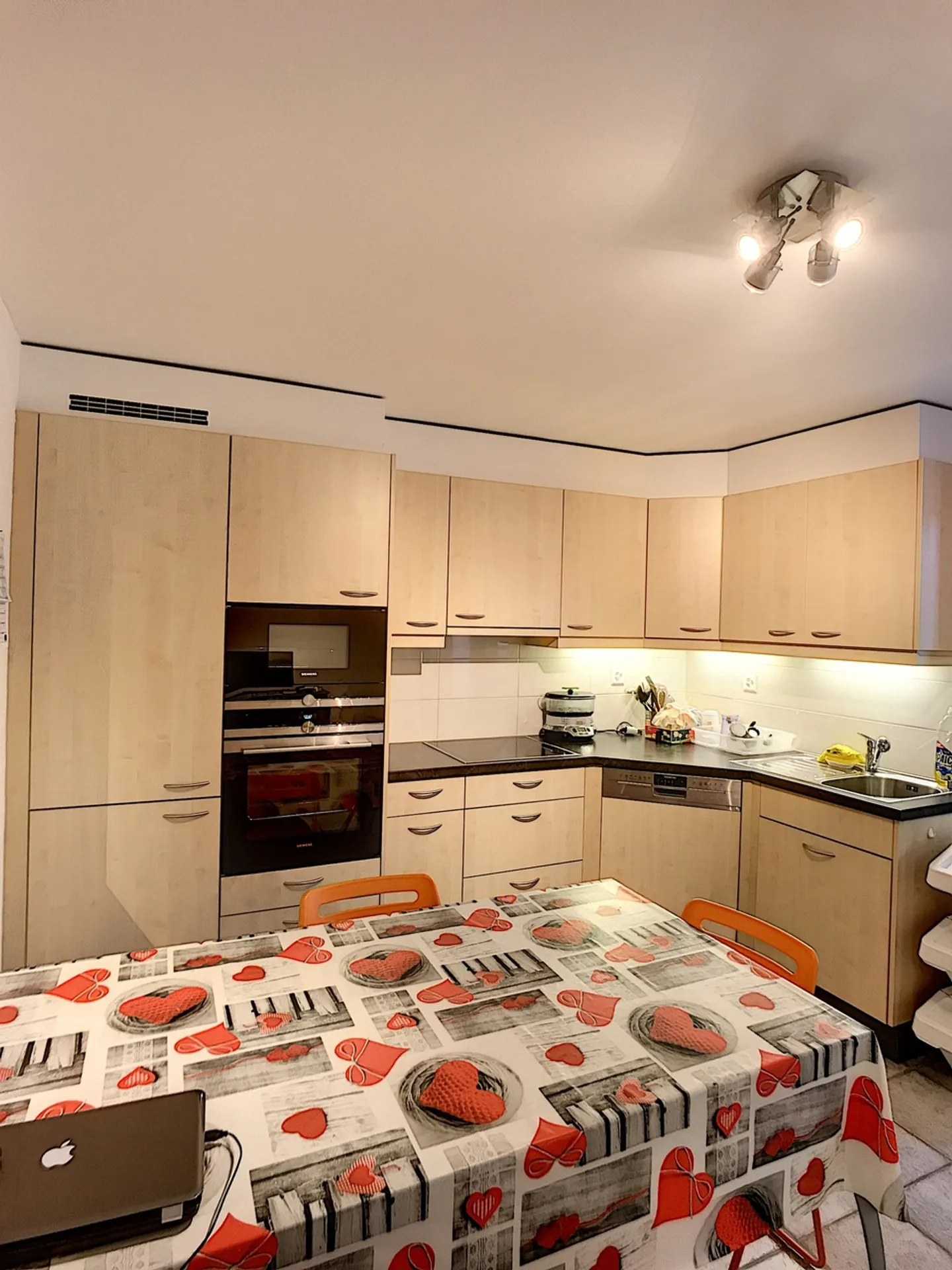 Edificio adiacente con 4 appartamenti ai piedi del Mollendruz - Foto 5 di 14