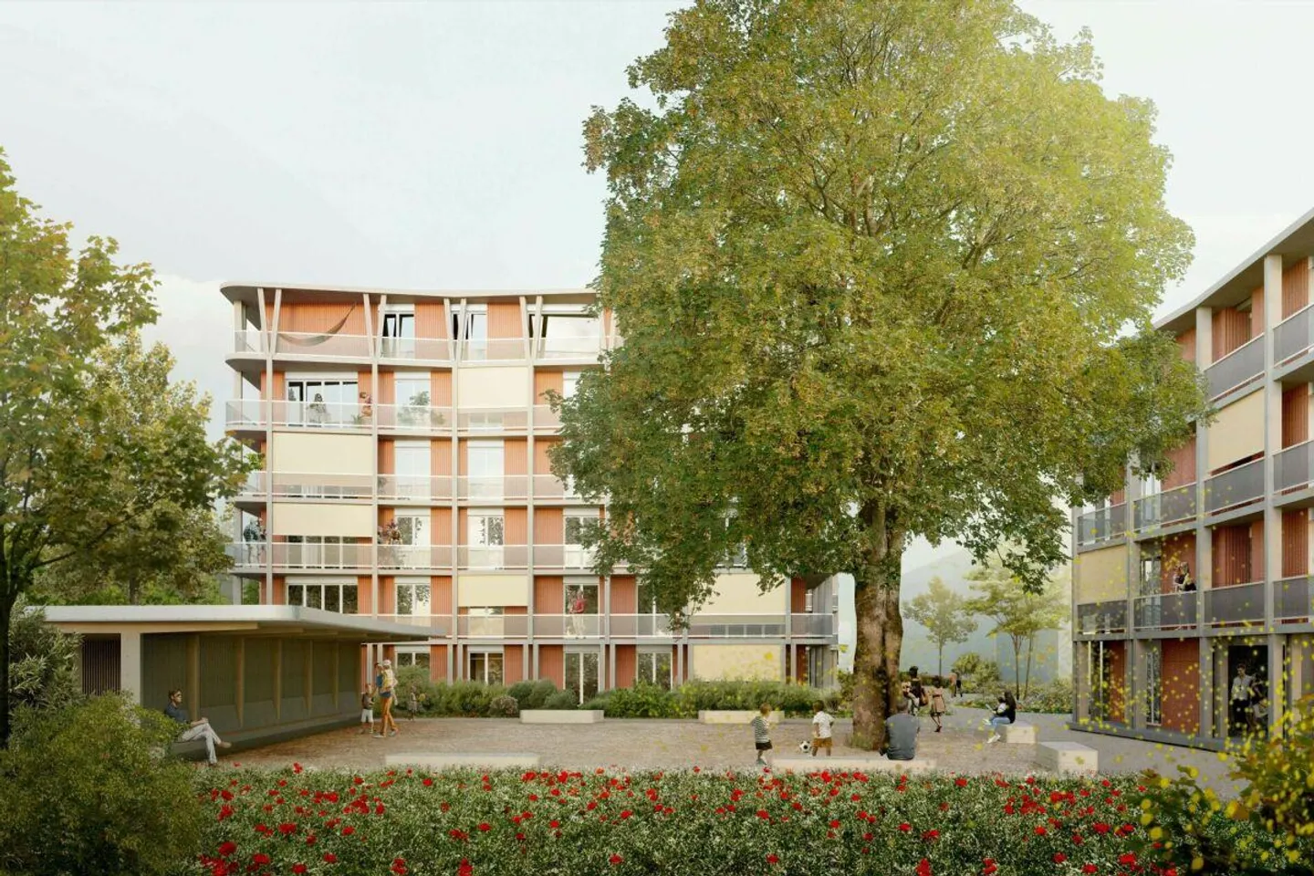 Appartamento nuovo 4.5 stanze nel TIGLIO a Buchs - Foto 3 di 3