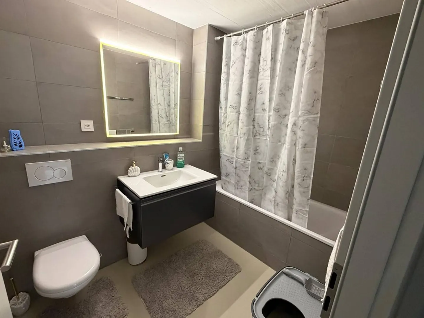 Charming 4.5 Room Apartment - Photo 11 of 12