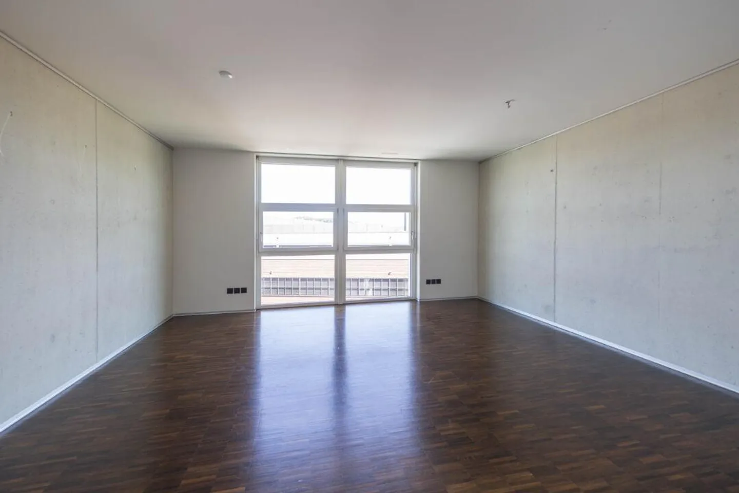 View over Winterthur - RENT WITHOUT DEPOSIT - Photo 7 of 8