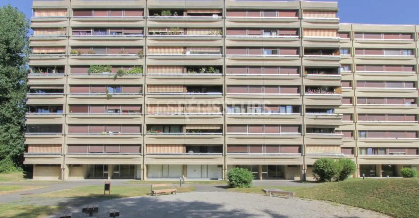 Place de Parking à Meyrin - Photo 1 sur 1