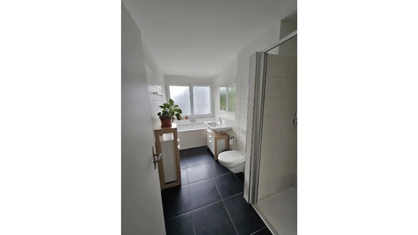 3 ZI-WOHNUNG IN WALLENWIL (TG), MÖBLIERT, TEMPORÄR - Foto 6 di 10