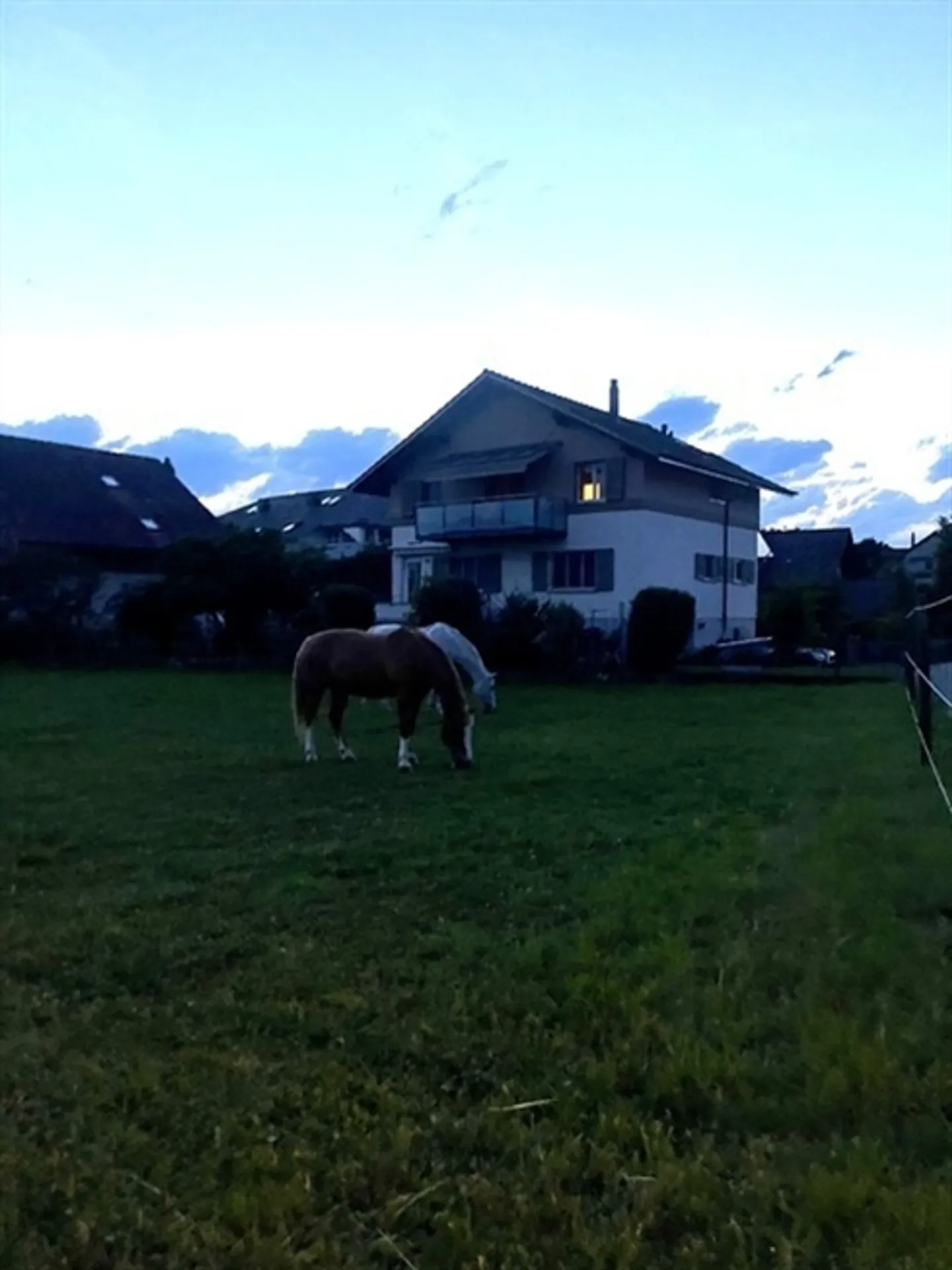 3½ STANZA APPARTAMENTO A OPPLIGEN (BE), ARREDATO, TEMPORANEO - Foto 9 di 10