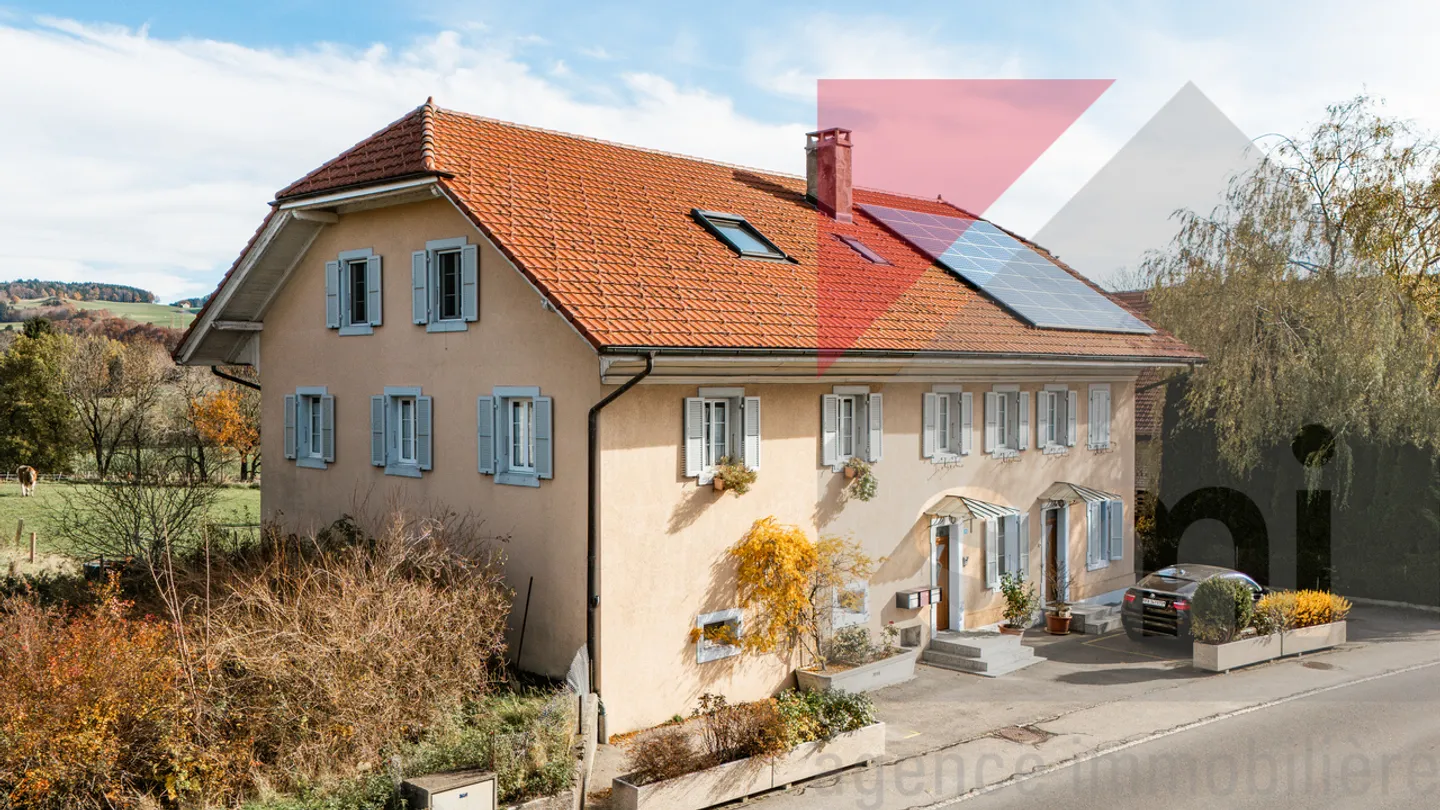 Small building with three renovated apartments and rental yield - Photo 1 of 13