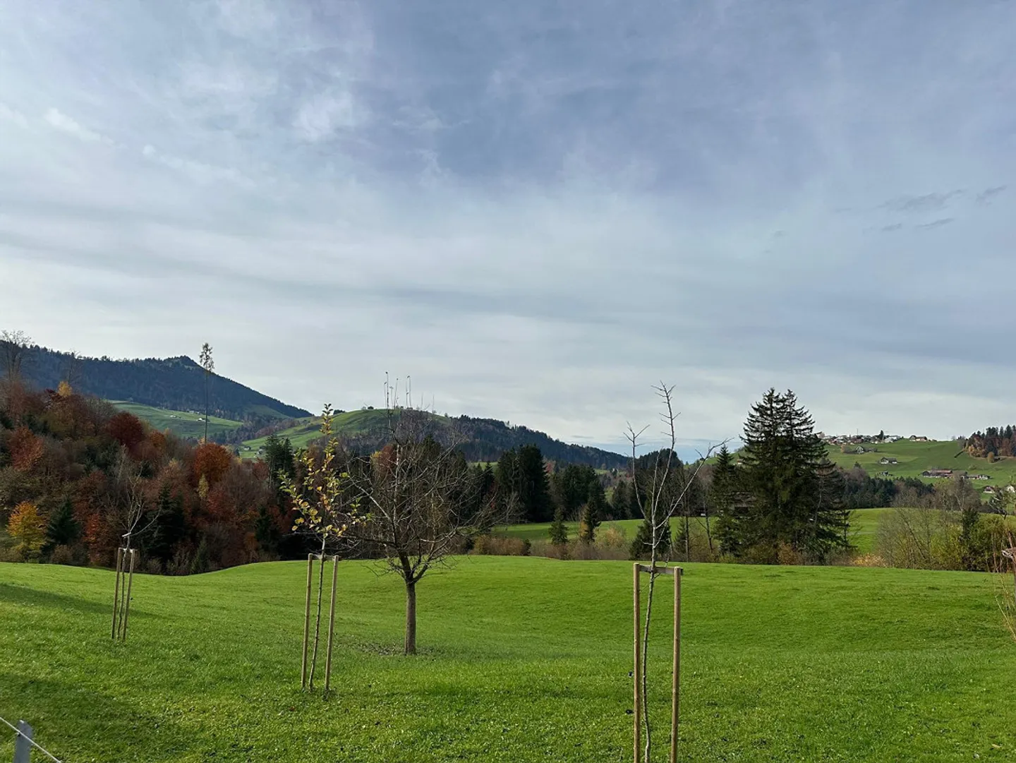 Moderne Wohnungen mit Alpsteinblick - Foto 11 von 15