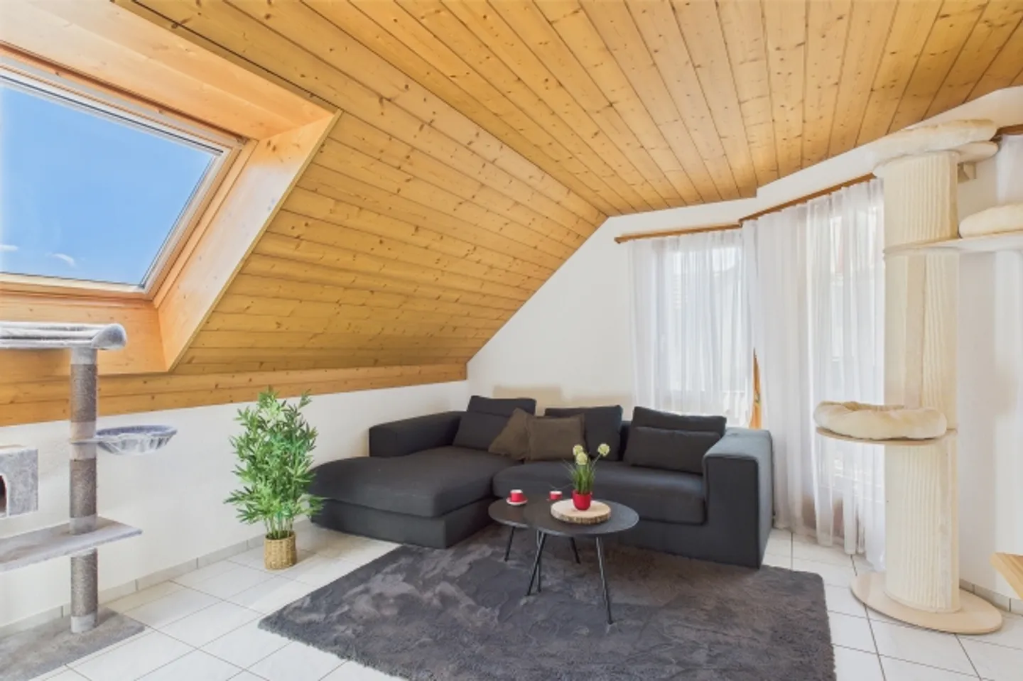 LE DÉBUT PARFAIT DE LA PROPRIÉTÉ - Photo 4 sur 8