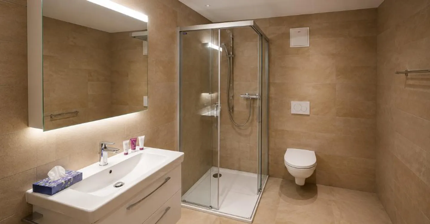 Attic apartment with 5.5 rooms in an exceptional location - Photo 9 of 13