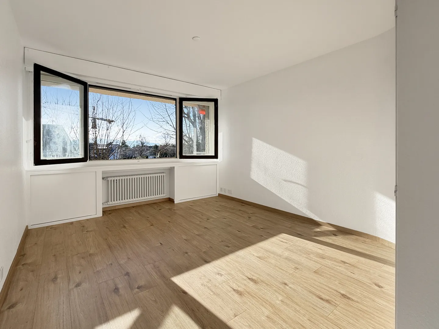 Coppet – Appartamento 2.5 locali a due passi dalla stazione - Foto 8 di 13