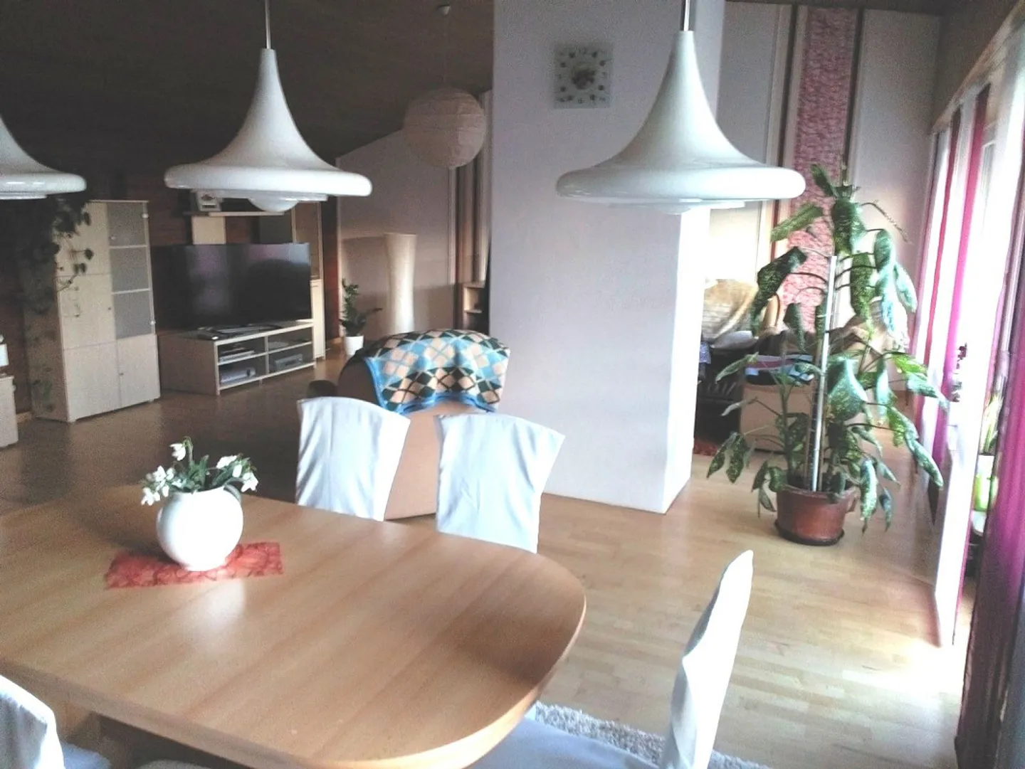 Casa in natura tranquilla - limitata fino al 2027 - Foto 11 di 30
