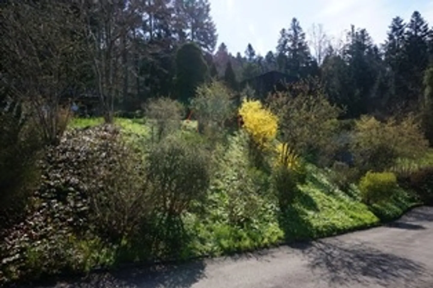 Casa in natura tranquilla - limitata fino al 2027 - Foto 21 di 30