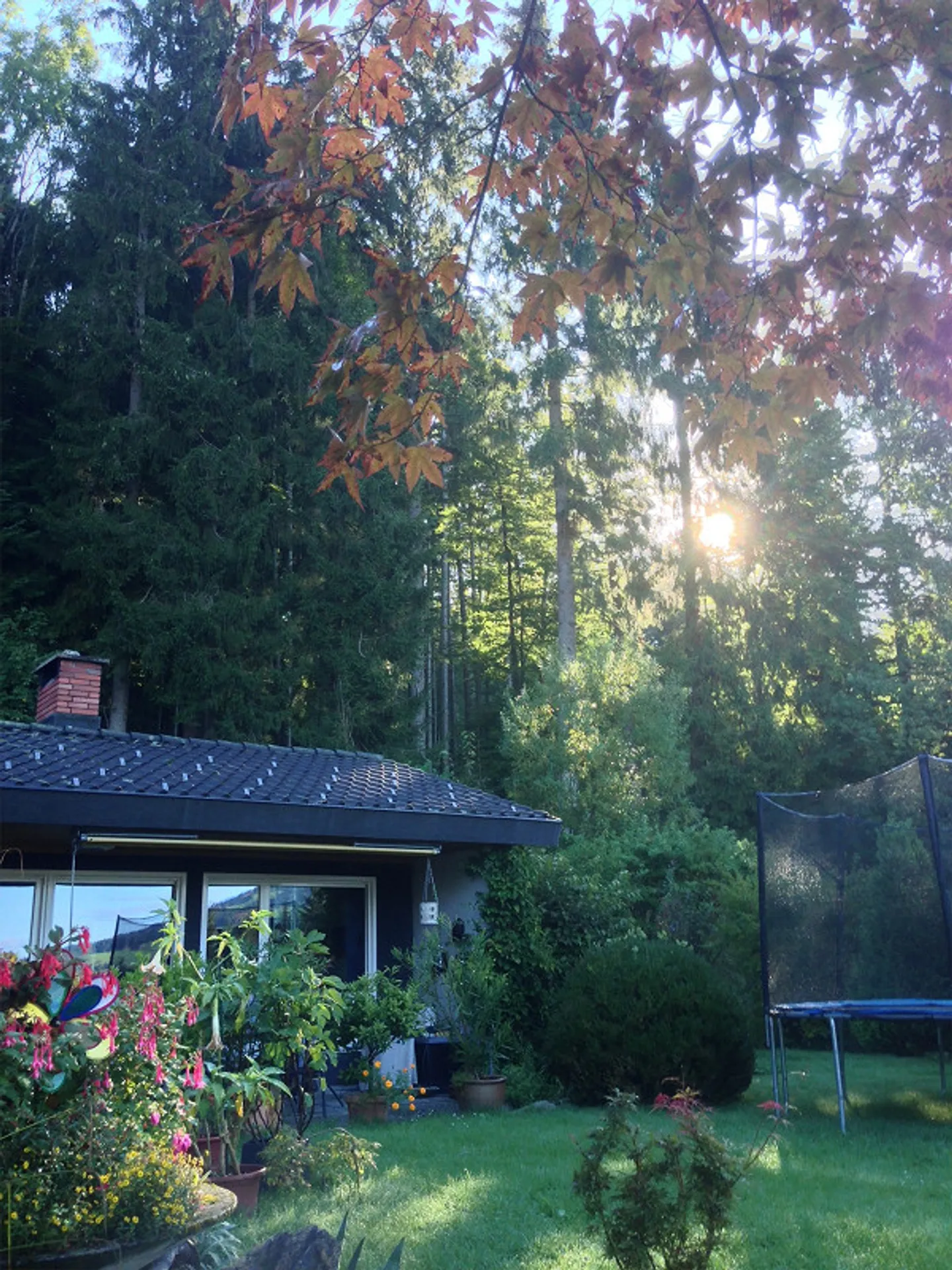 Casa in natura tranquilla - limitata fino al 2027 - Foto 24 di 30