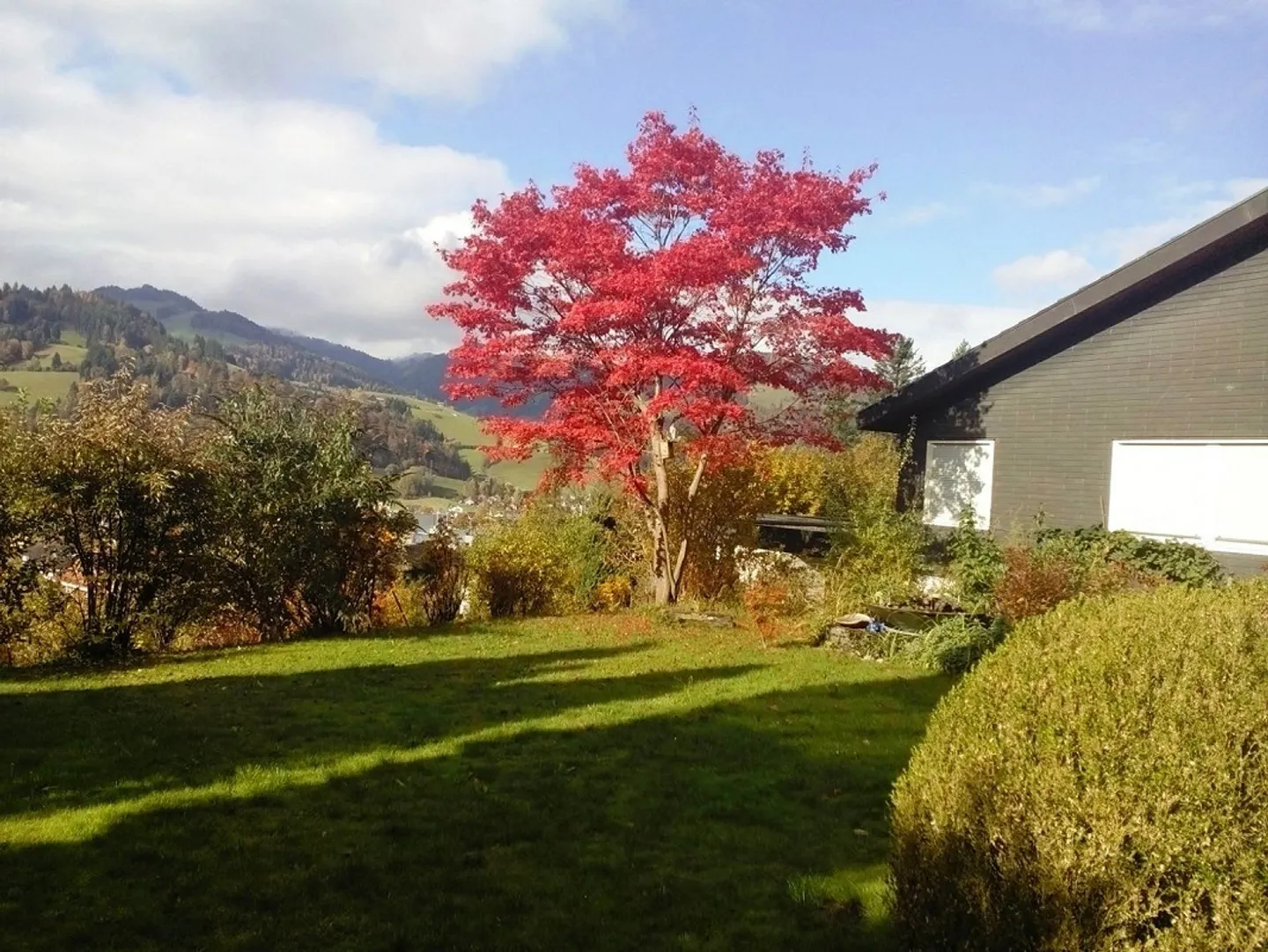 Casa in natura tranquilla - limitata fino al 2027 - Foto 28 di 30