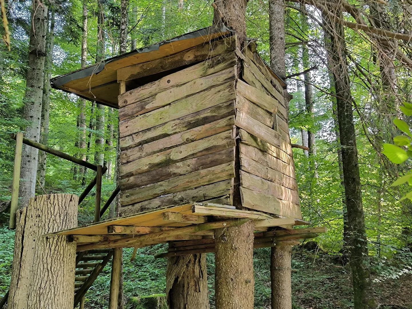 Casa in natura tranquilla - limitata fino al 2027 - Foto 29 di 30