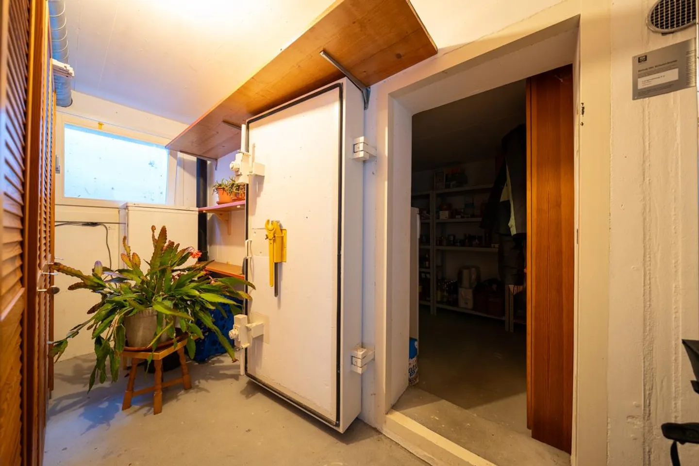 Centrally Located Single-Family House with Apartment - Photo 25 of 29