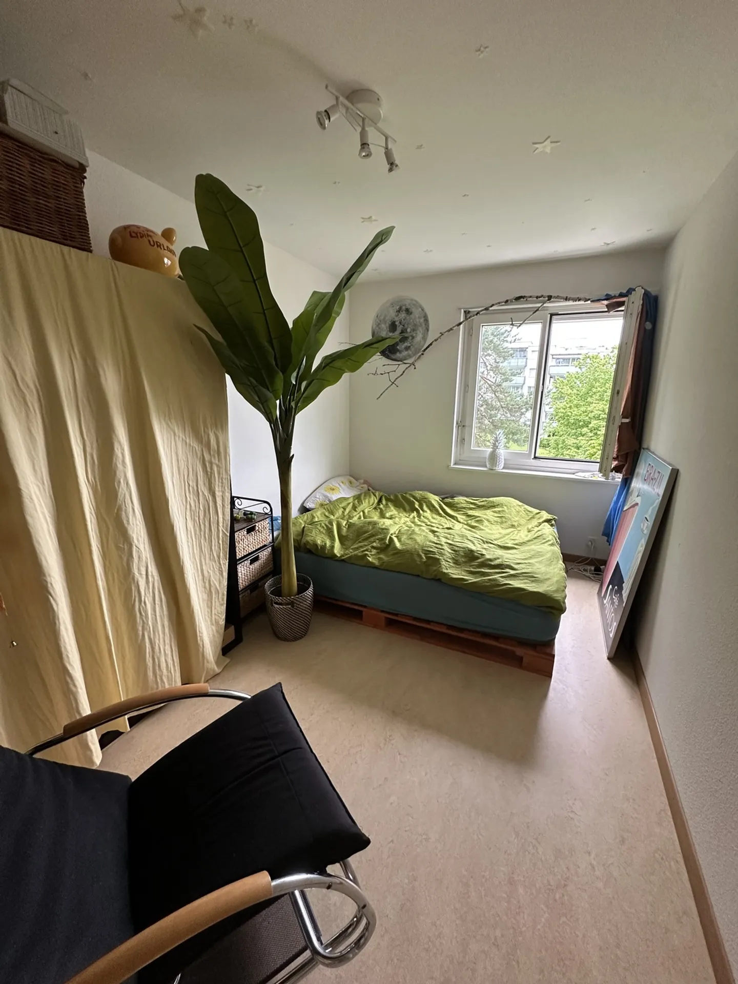 Spacious 2-Room Apartment - Photo 2 of 4