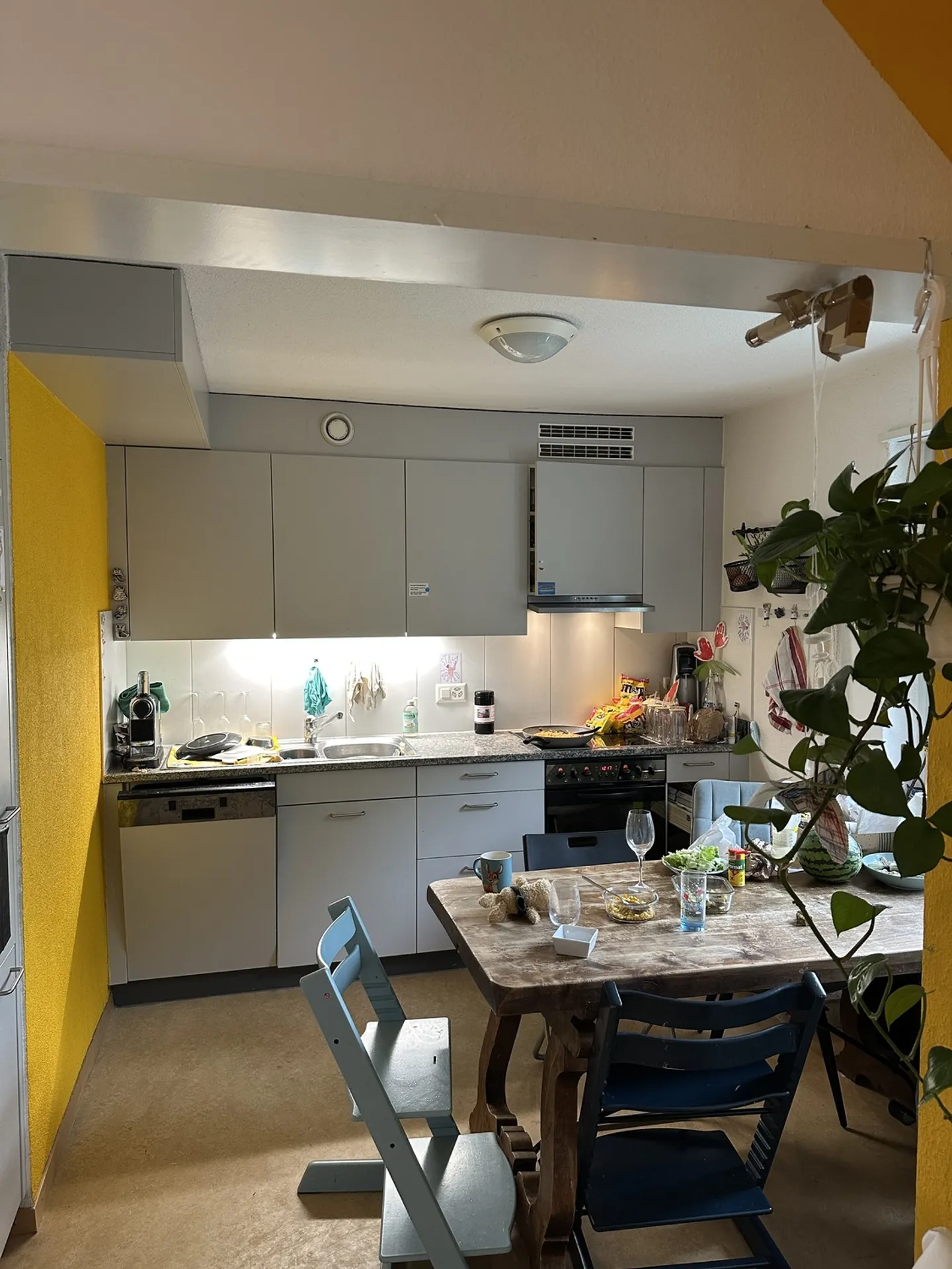 Spacious 2-Room Apartment - Photo 3 of 4