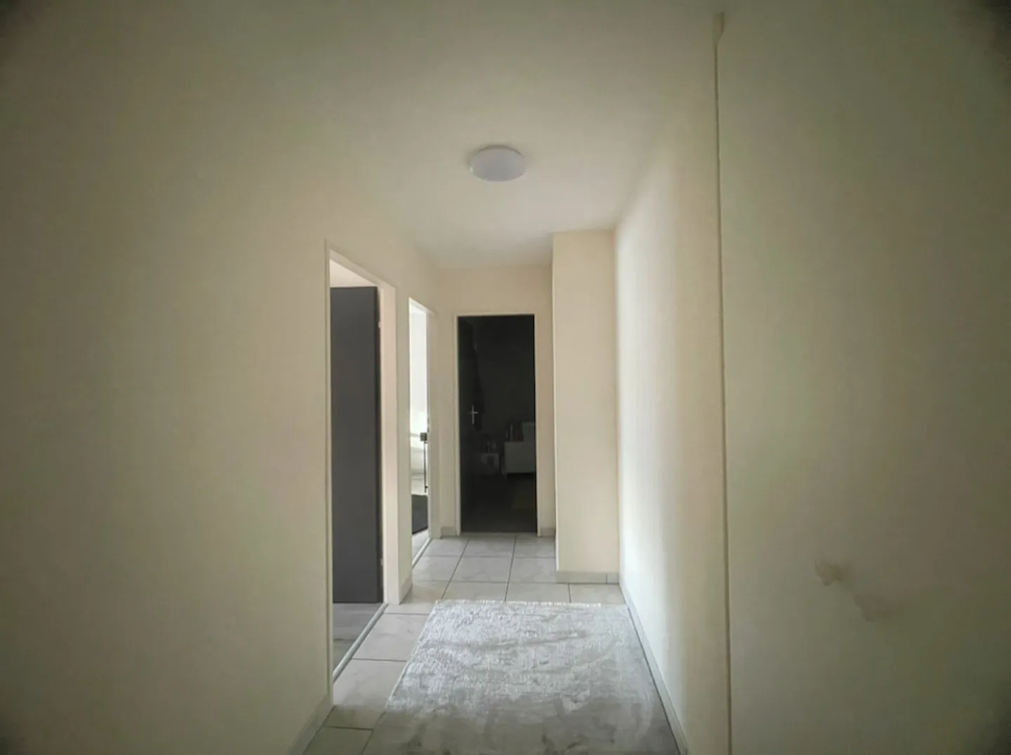 New! Renovated 3.5-room apartment in Sion - Photo 9 of 9