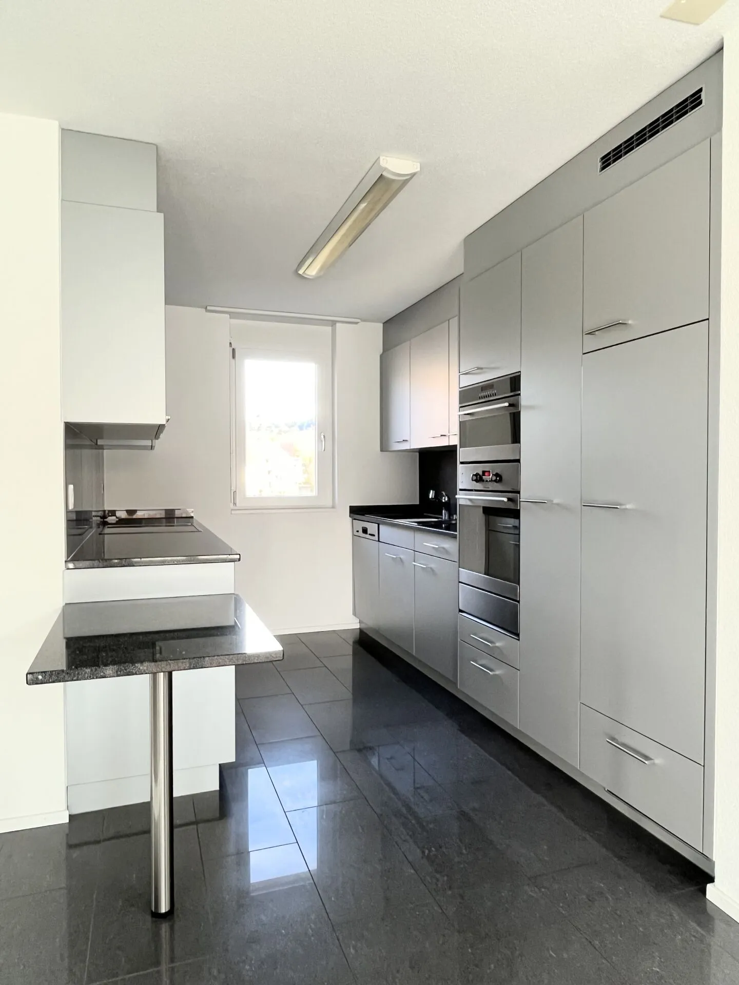 Bright and Charming 5.5-Room Attic Apartment - Photo 3 of 12
