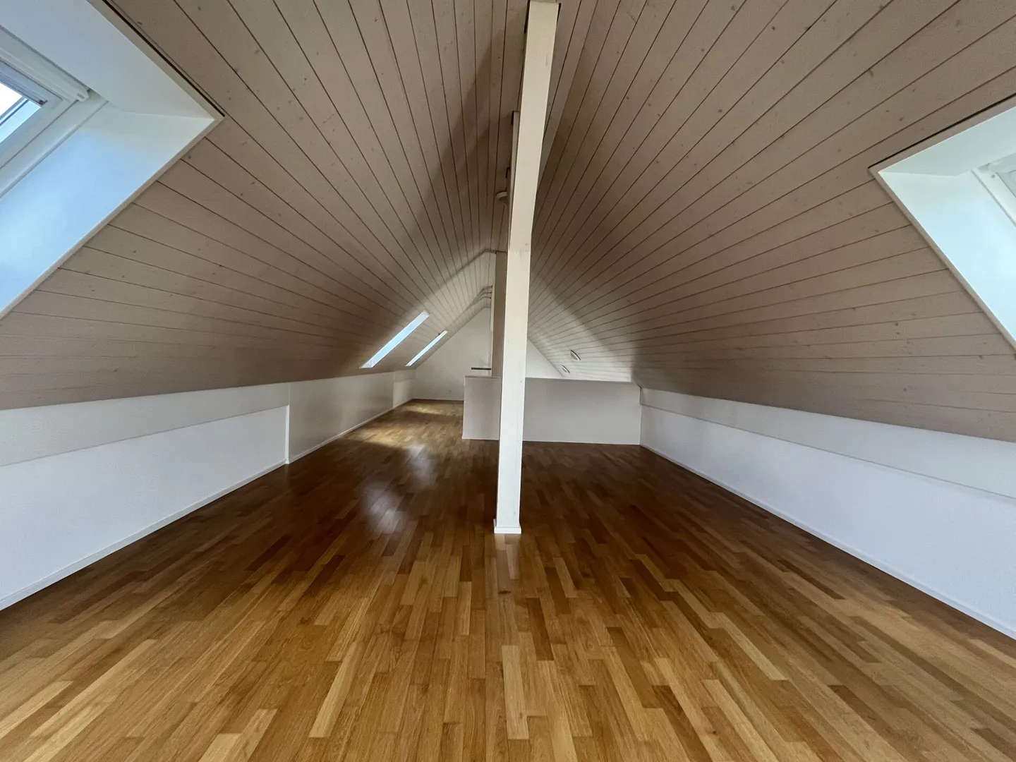 Bright and Charming 5.5-Room Attic Apartment - Photo 7 of 12