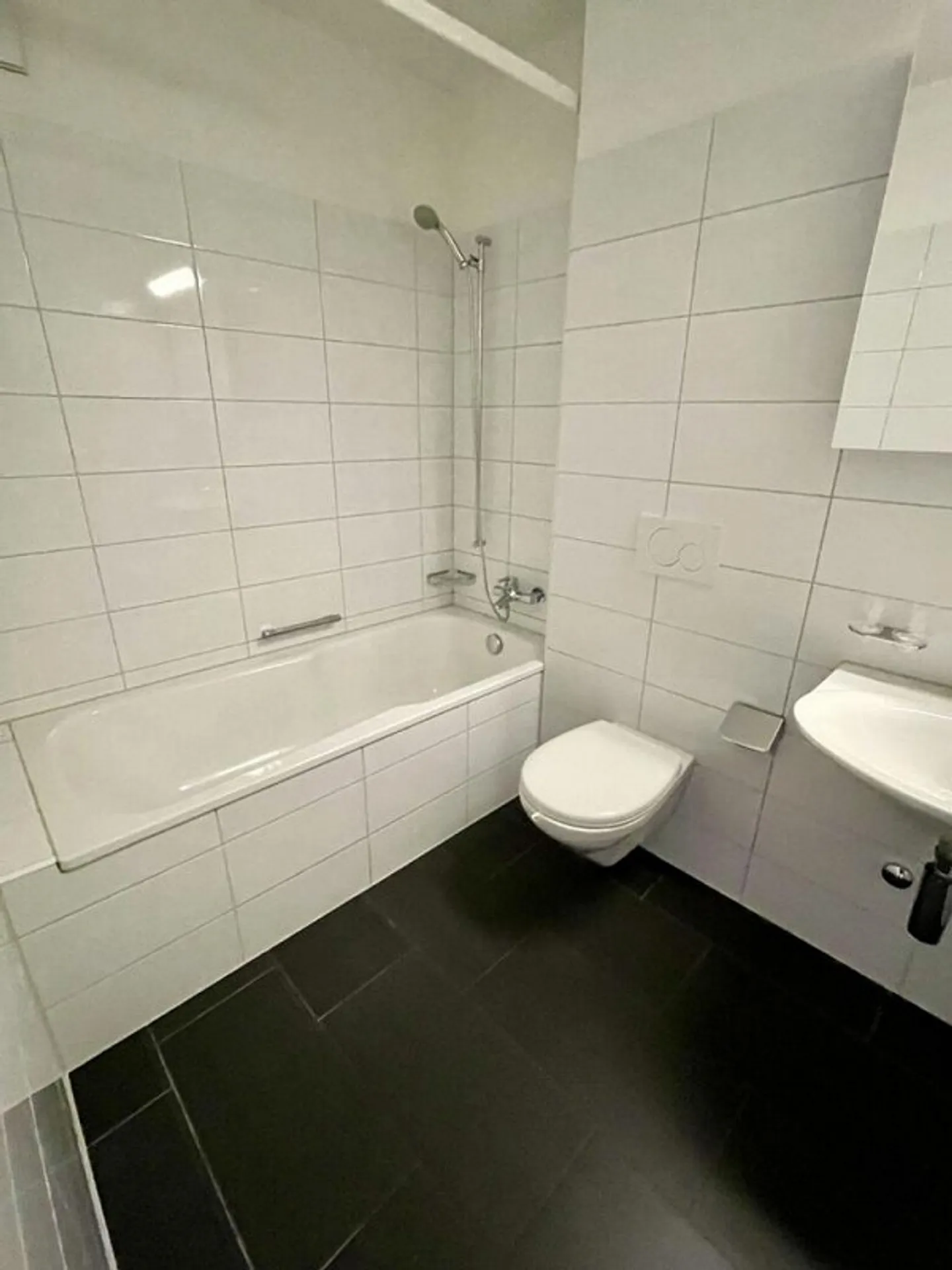 Visita: Giovedì 12 febbraio 2026 dalle 17:45 alle 18:30 - Foto 4 di 8