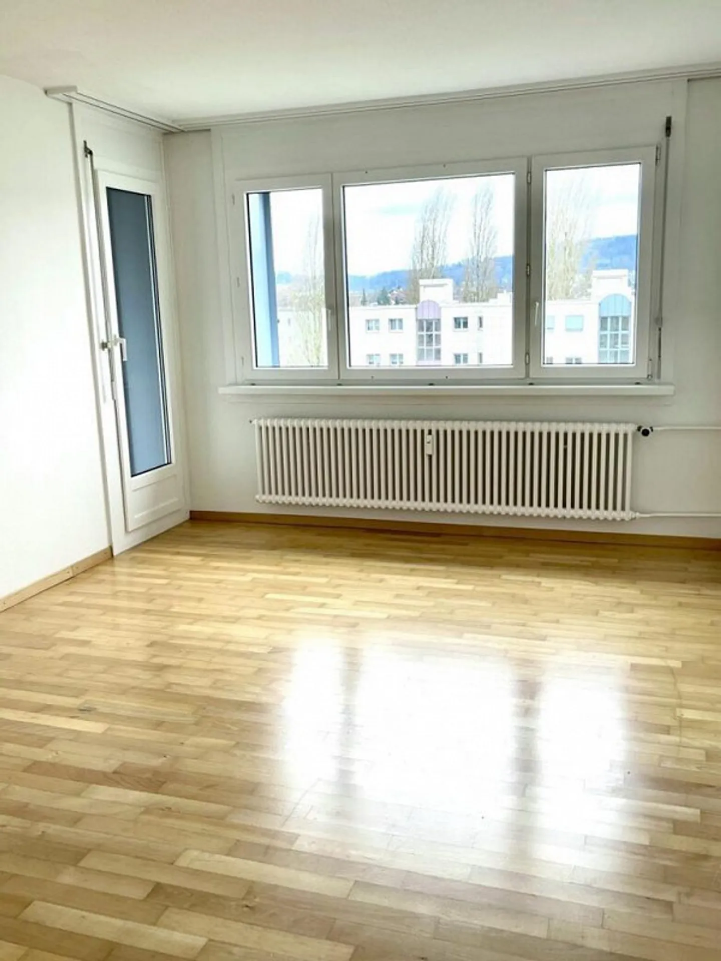 Visita: Giovedì 12 febbraio 2026 dalle 17:45 alle 18:30 - Foto 6 di 8