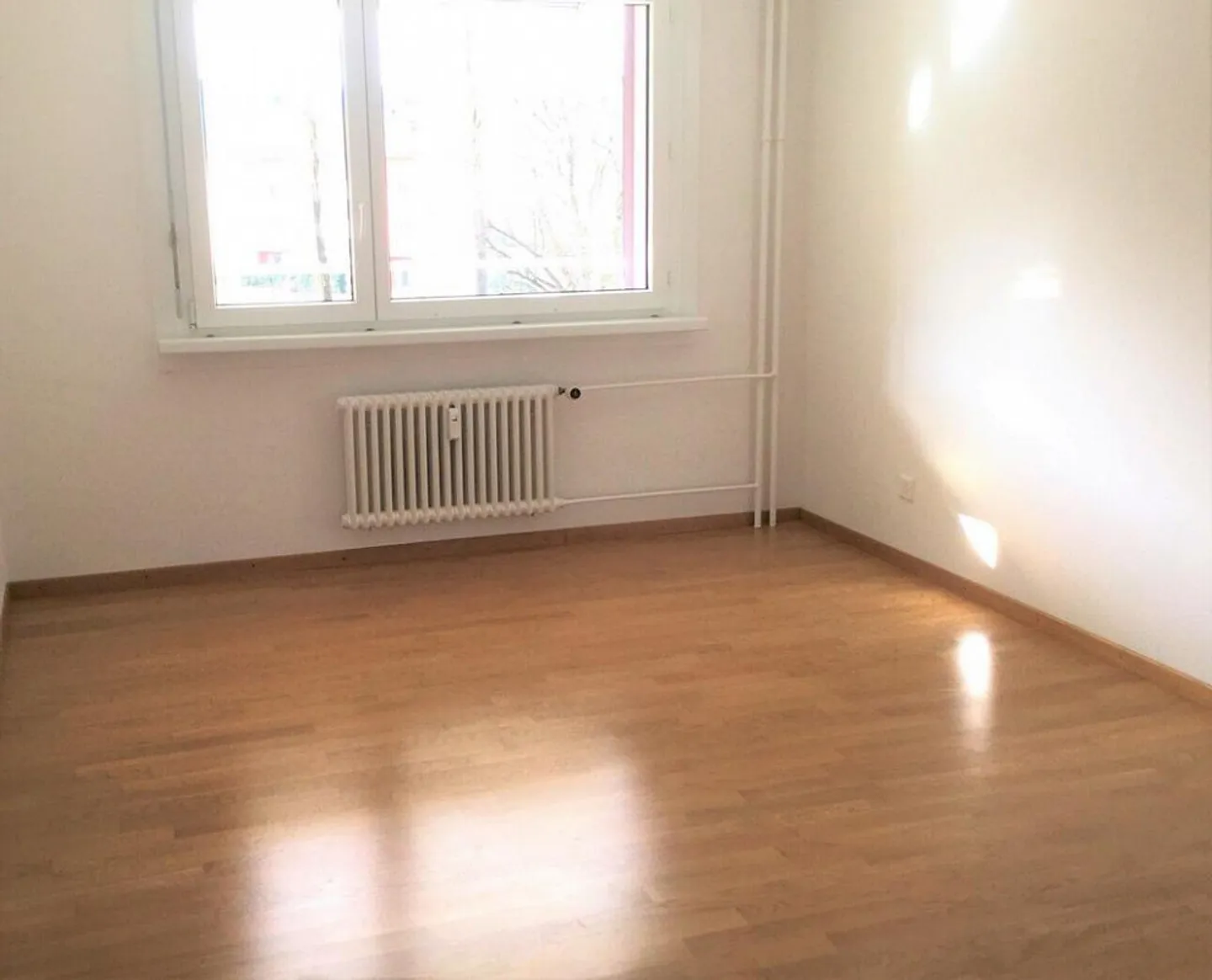 Visita: Giovedì 12 febbraio 2026 dalle 17:45 alle 18:30 - Foto 8 di 8