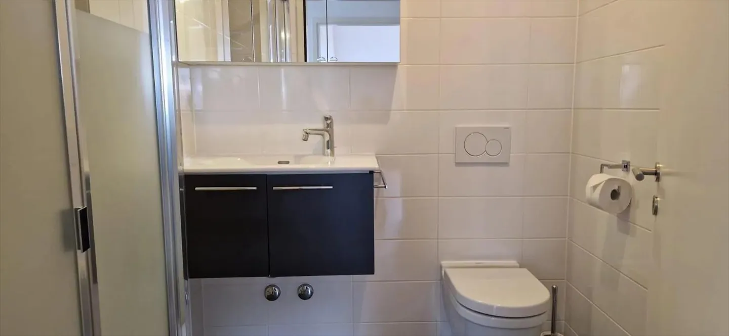CHÊNE-BOURG | BEL APPARTAMENTO CON 4 CAMERE NEL SOTTOTETTO - Foto 5 di 13