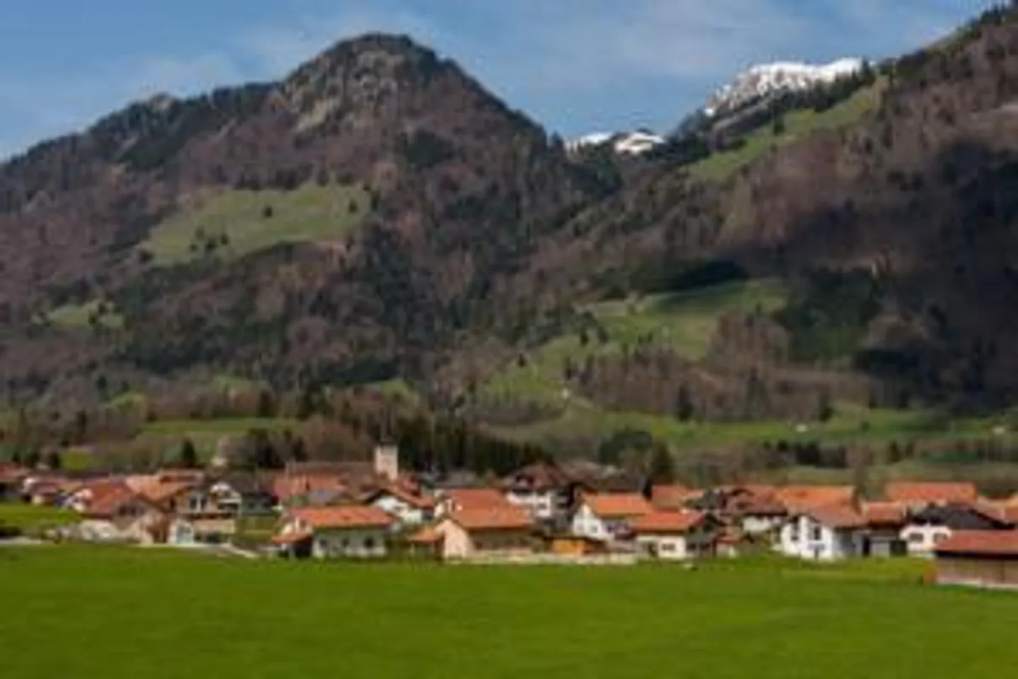 Wohnung zu verkaufen in Grandvillard, Schweiz - Foto 1 von 1